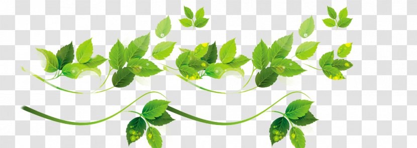 Leaf Clip Art - Data Transparent PNG