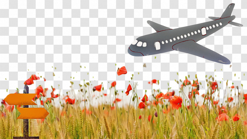 Airplane Aviation Aircraft Cartoon Drawing Transparent PNG