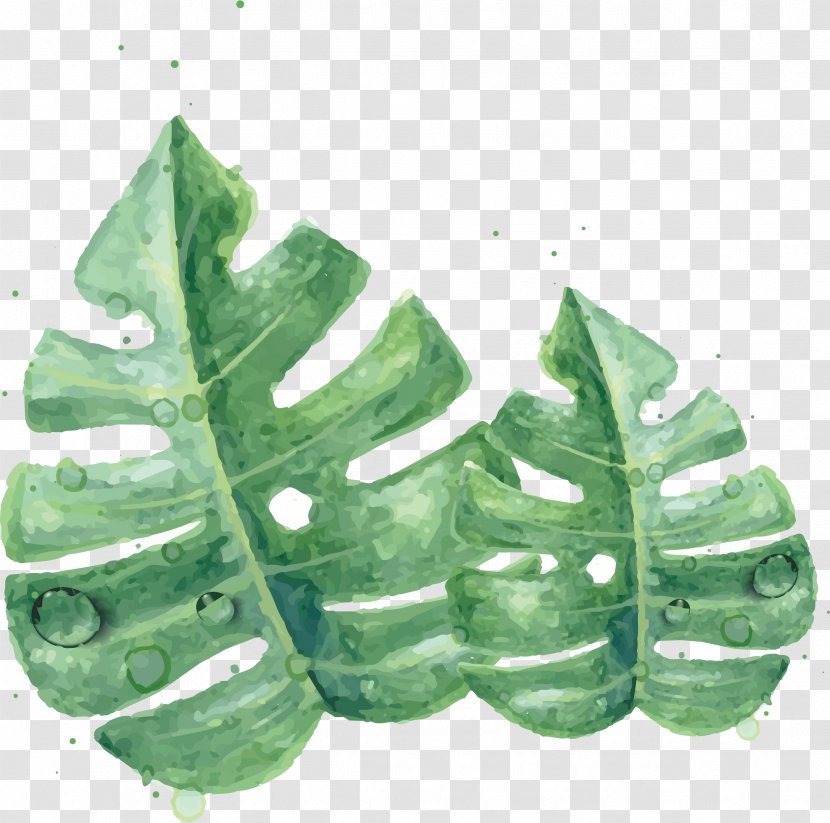 Leaf Watercolor Painting Green Skin - Organism - Leaves Transparent PNG