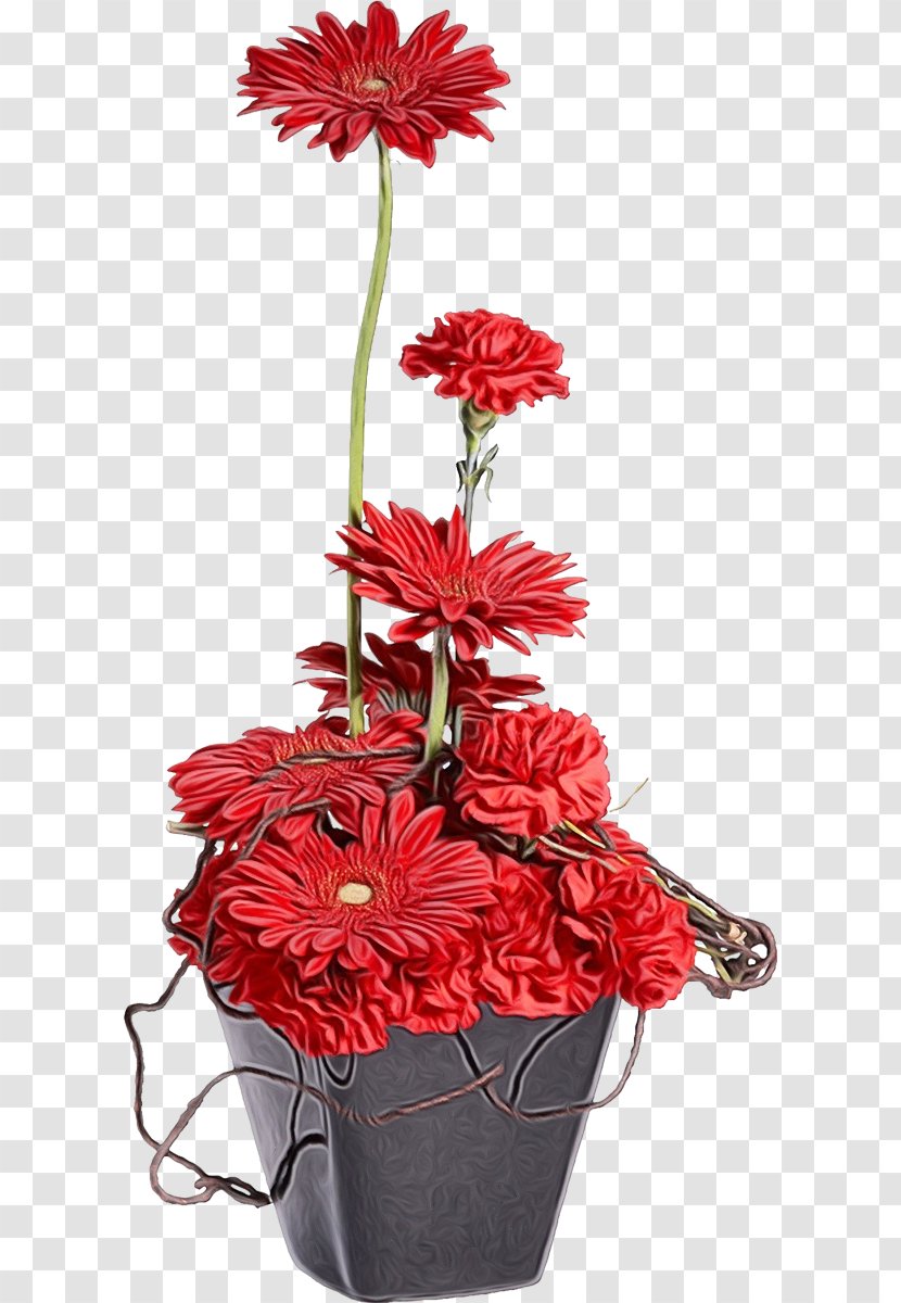 Floral Design Cut Flowers Flowerpot Transvaal Daisy - Family - Geranium Transparent PNG