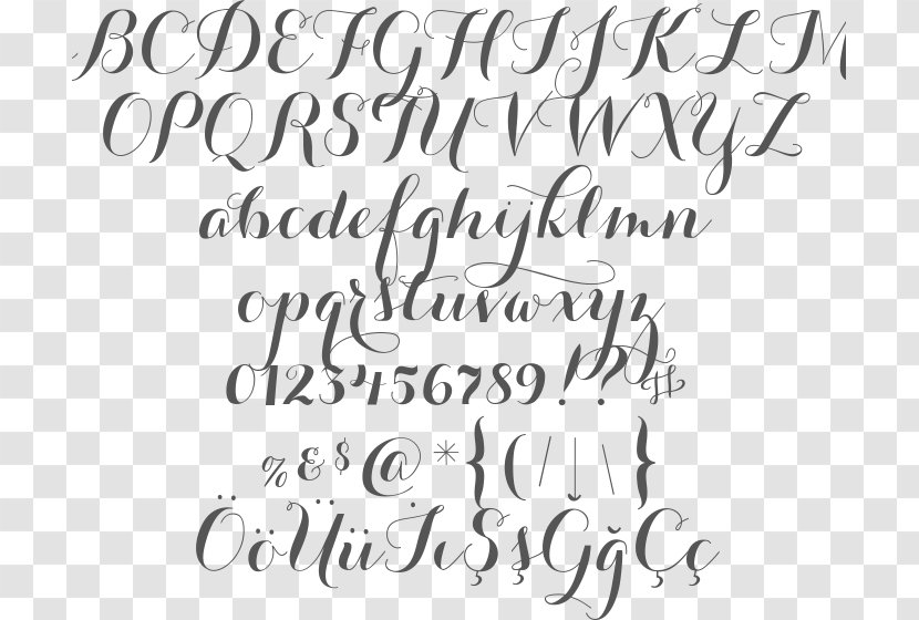 Calligraphy Handwriting Typeface Font Family - Line Art - Wedding Fonts Transparent PNG