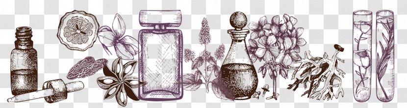 Perfume Fashion Personal Care Cosmetic Industry - Accessory - Bottle Sketch Transparent PNG