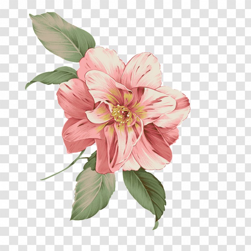 Pink Flowers Pattern - Peony - Watercolor Transparent PNG