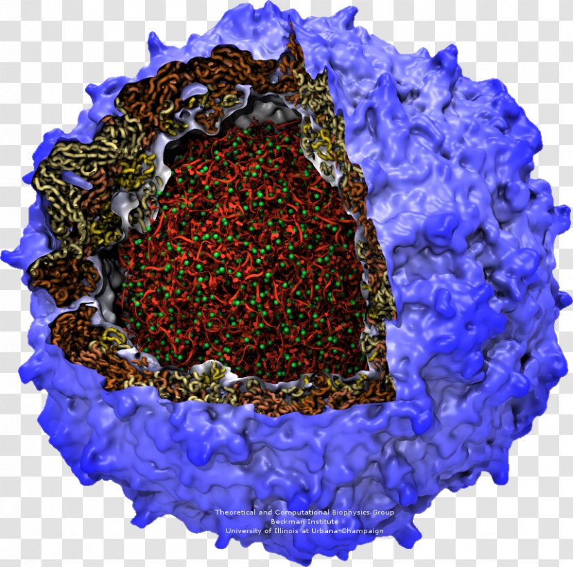Poliovirus Poliomyelitis RNA Capsid - Rna Virus - Symmetry Transparent PNG