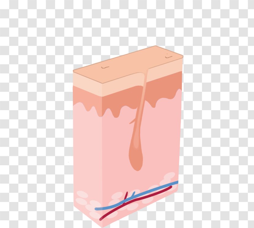 Laser Hair Removal Shaving - Pink Transparent PNG