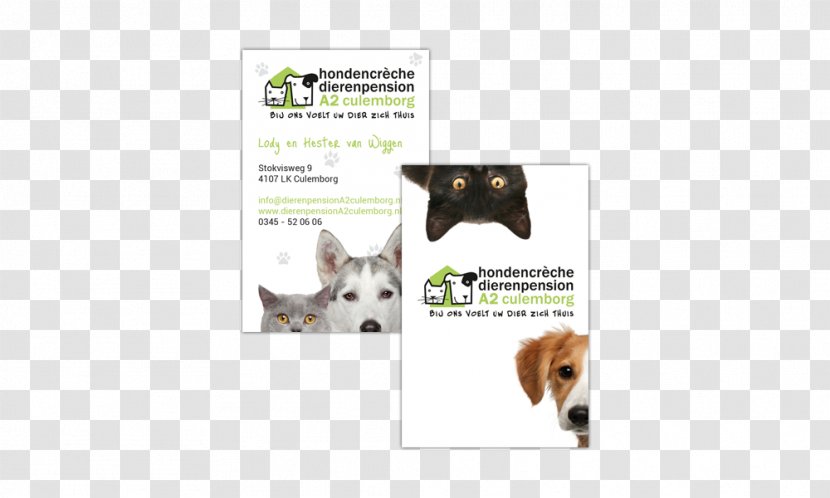 Cat Dog Breed Fauna Brand - Frame Transparent PNG