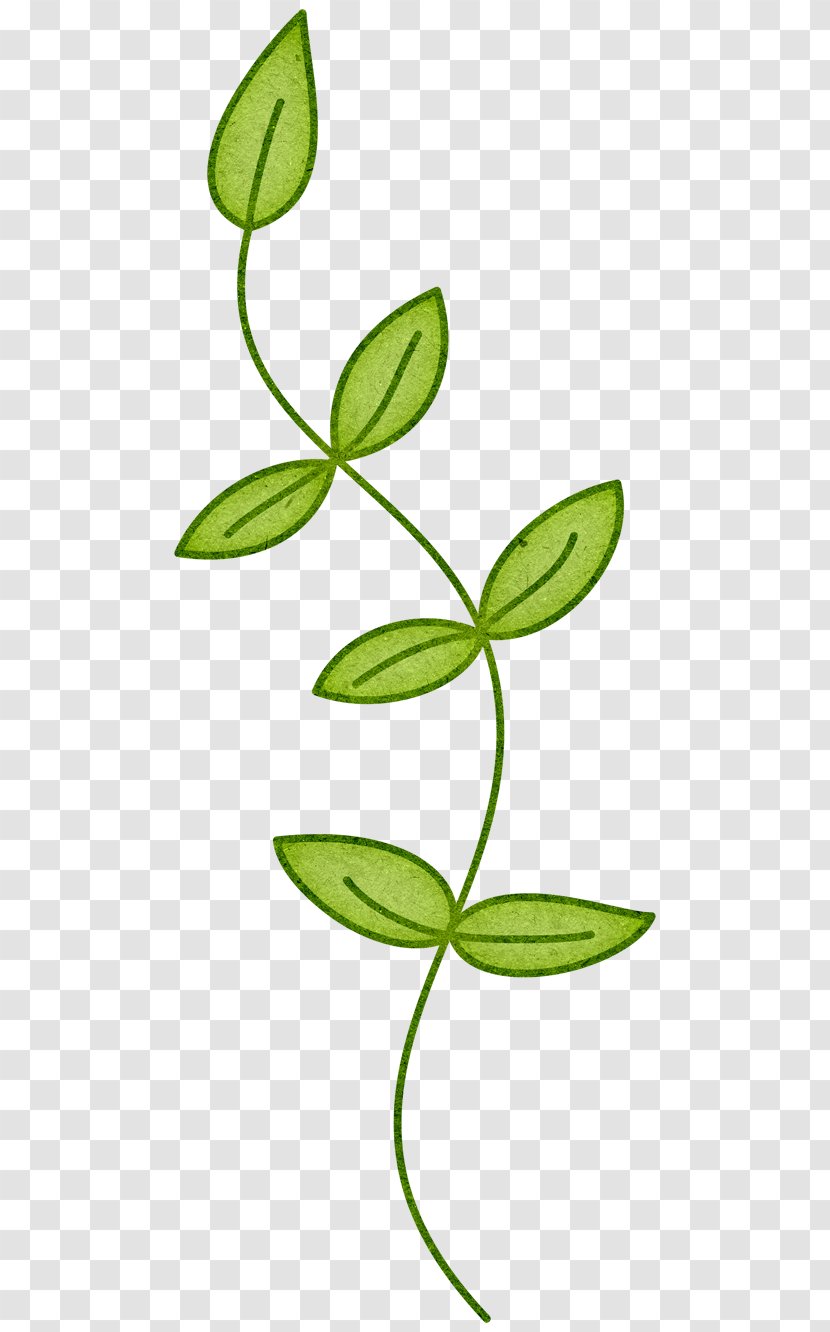 Branch Plant Stem Leaf Clip Art - Flowering - Spring Leaves Transparent PNG