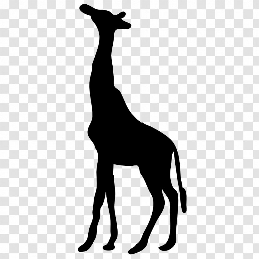 Giraffe Silhouette Clip Art - Monochrome - Animal Head Outline Giraff Transparent PNG