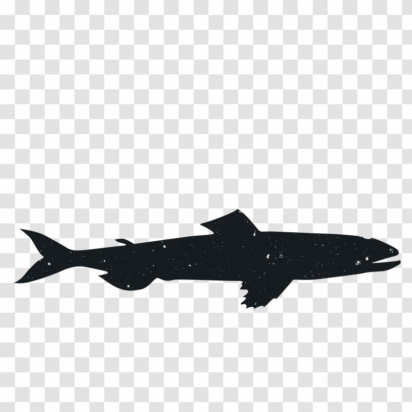 Animal Silhouette Black Airplane Marine Mammal - And White - Silhouettes Transparent PNG