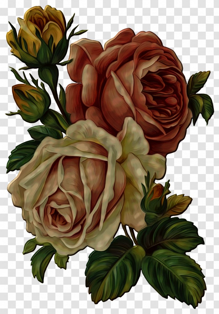 Flower Rose Clip Art - Order - BrowN Transparent PNG