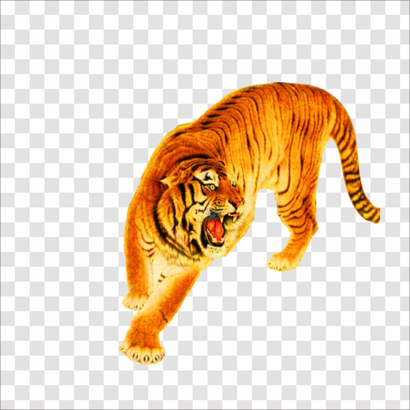 Tiger Lion Cat Leopard - Balm Transparent PNG