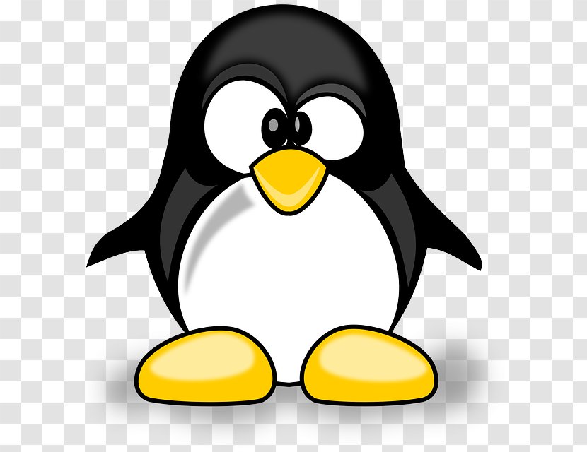 Tux Racer Penguin Bird - Yellow - Cartoon Animals Transparent PNG