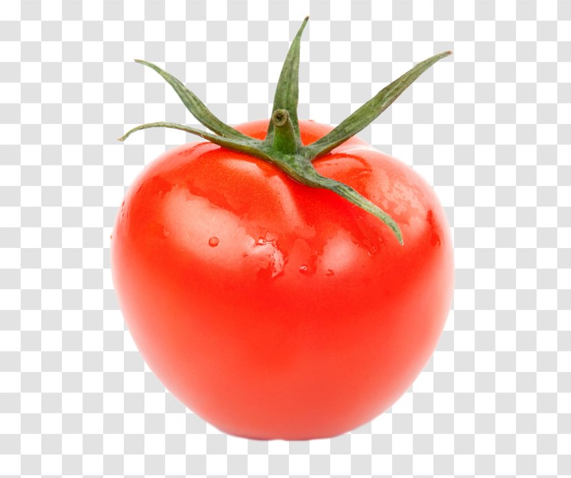Tomato Cucumber Vegetable Fruit Food - Potato And Genus Transparent PNG