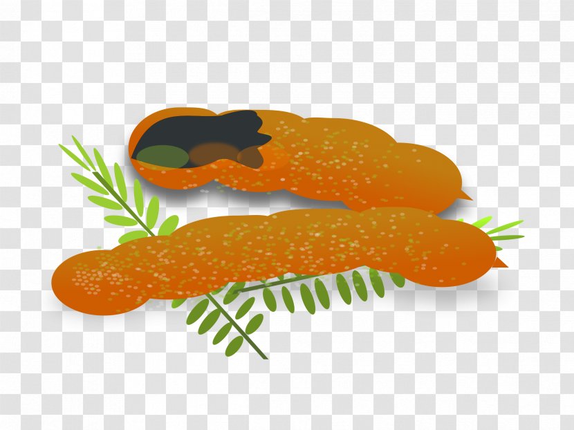 Tamarind Royalty-free Stock Photography Clip Art - Fish - Tamarin Transparent PNG