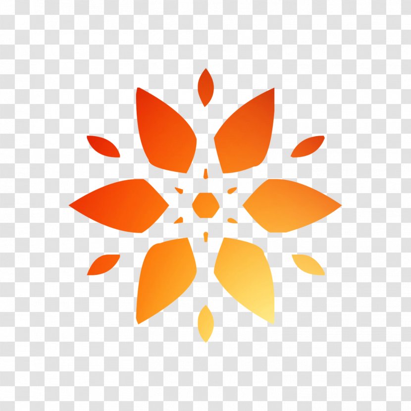 Symmetry Philadelphia Flyers Pattern Design Blog - Orange - Plant Transparent PNG
