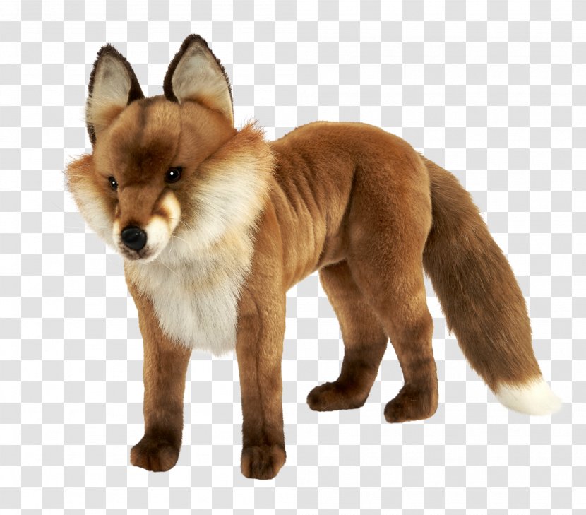 Red Fox Dhole Dog Snout - Fur Transparent PNG