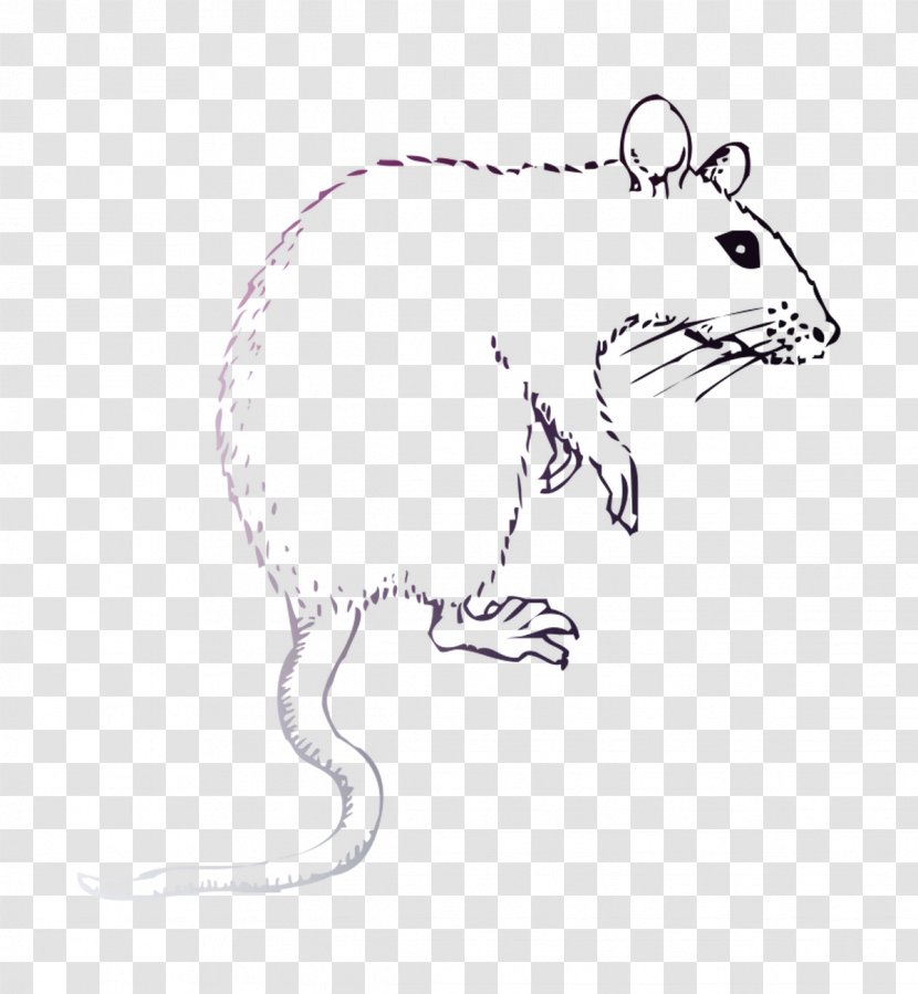 Rat Drawing Clip Art /m/02csf Hare - Jerboa - Pest Transparent PNG