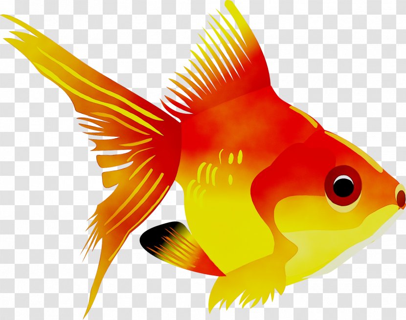 Sea Creatures Coloring Book Chamy - Rock Beauty - Color By Number Fish Goldfish Transparent PNG
