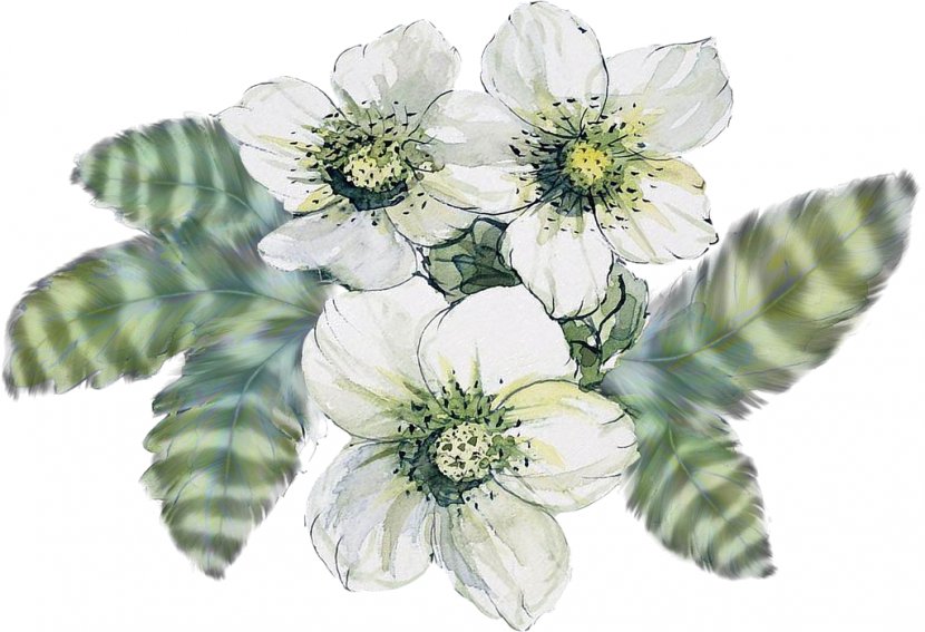 Cut Flowers White Yellow - Flower Transparent PNG