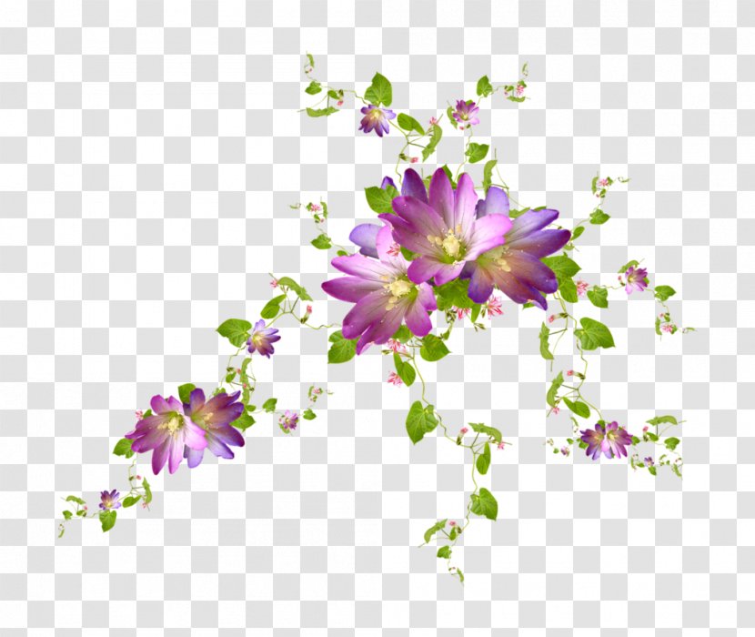 Flower Computer Stock Photography Desktop Wallpaper - Lavender - Bun Transparent PNG