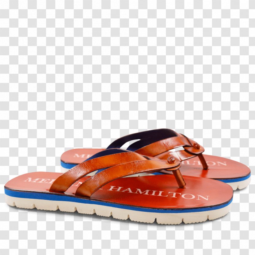 Flip-flops Shoe - Flipflops - IT Trade Fair Poster Transparent PNG