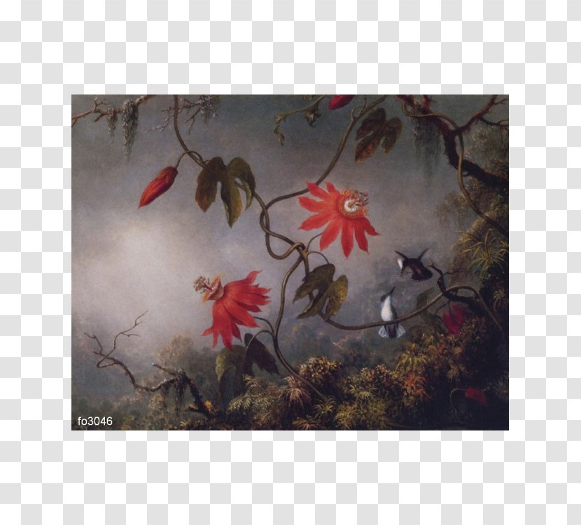 Passion Flowers And Hummingbirds Hummingbird Passionflowers With Three Painting - Allposterscom Transparent PNG