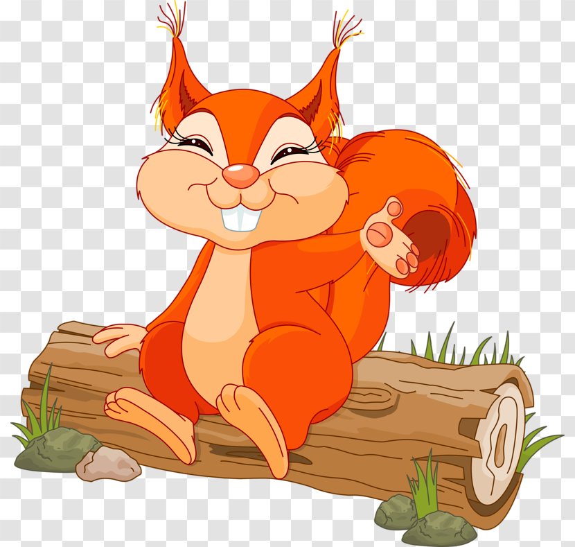 Carrot Cartoon - Eurasian Red Squirrel - Animation Transparent PNG