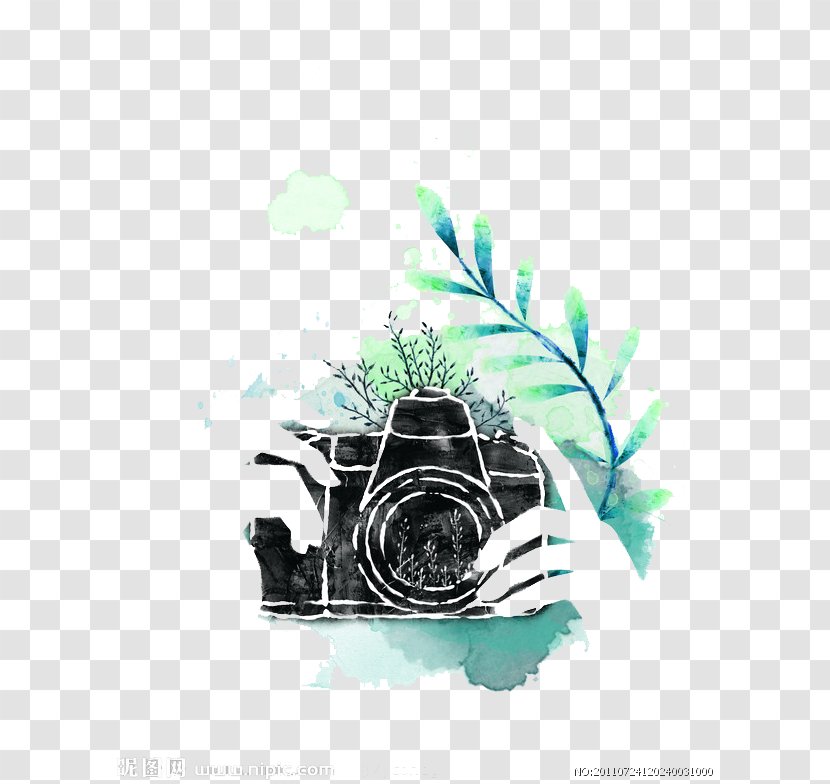 Camera Lens Photography - Green - Watercolor Transparent PNG