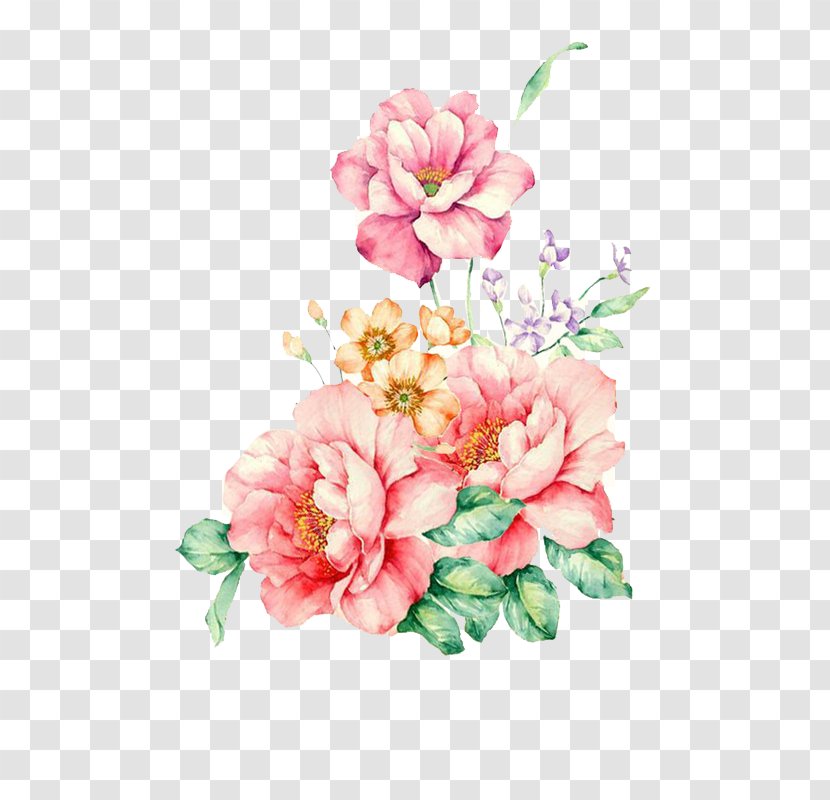 Flower Watercolor Painting - Spring - Floral Transparent PNG