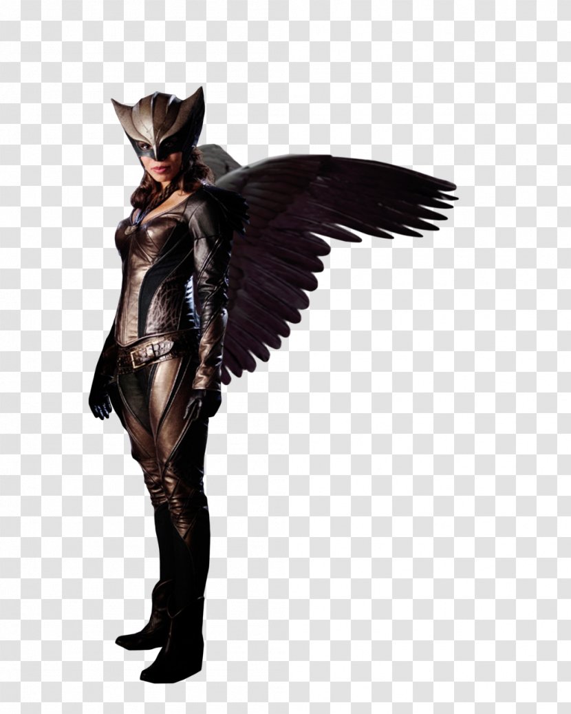 Hawkgirl Hawkman (Katar Hol) - Costume Design - Transparent Image Transparent PNG