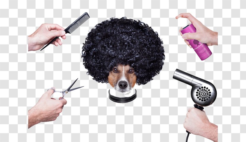 Comb Dog Grooming Day Spa - Pet Transparent PNG