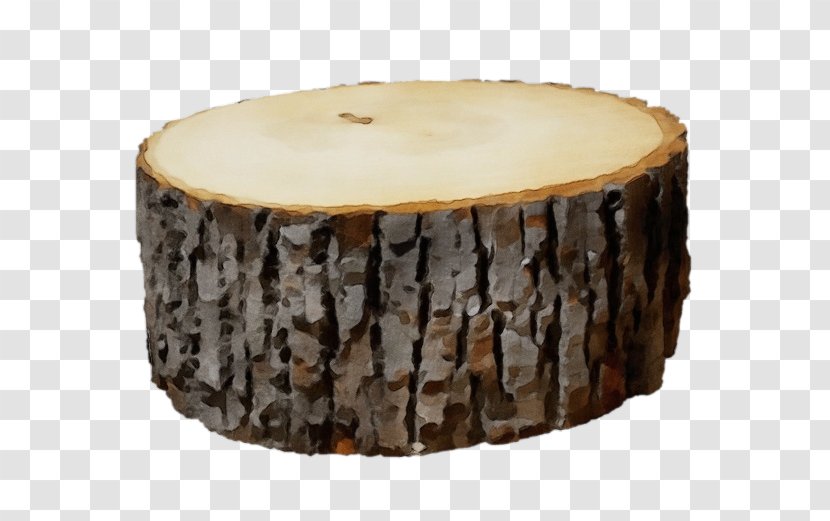 Tree Stump - Woody Plant - Drum Table Transparent PNG