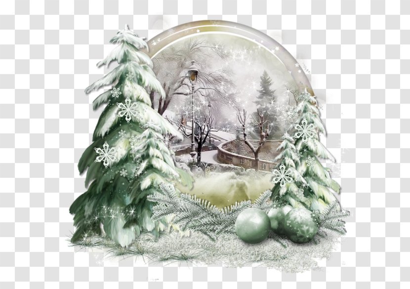 Christmas Ornament Tree Day Spruce - Fir Transparent PNG