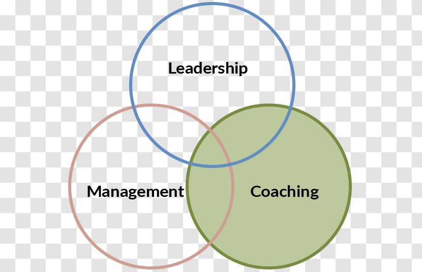 Coaching Mentorship Organization Human Resource Management - Trying Transparent PNG