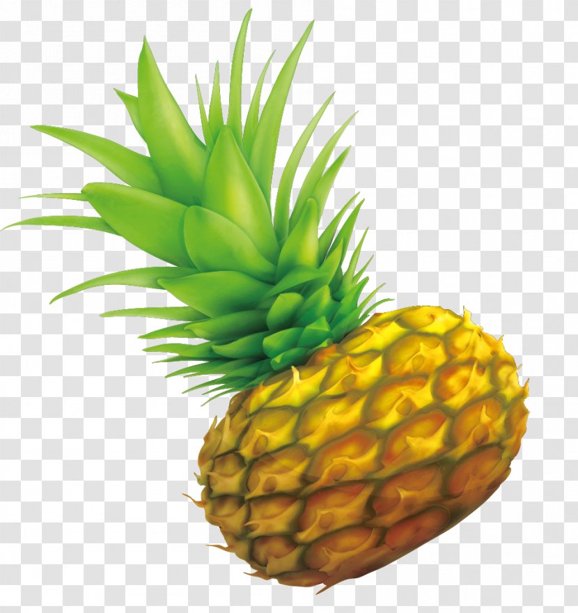 Pineapple Drawing - Decorative Design Hand-painted Transparent PNG