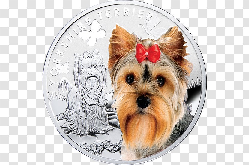 Yorkshire Terrier Puppy Coin Silver - Canadian Kennel Club Transparent PNG