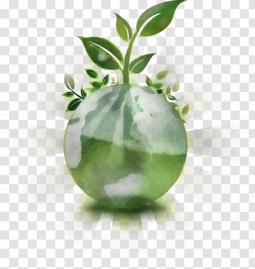 Green Leaf Plant Vase Flower Transparent PNG