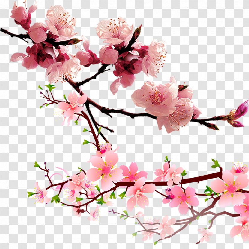Raster Graphics Computer File - Peach Blossom Material Transparent PNG