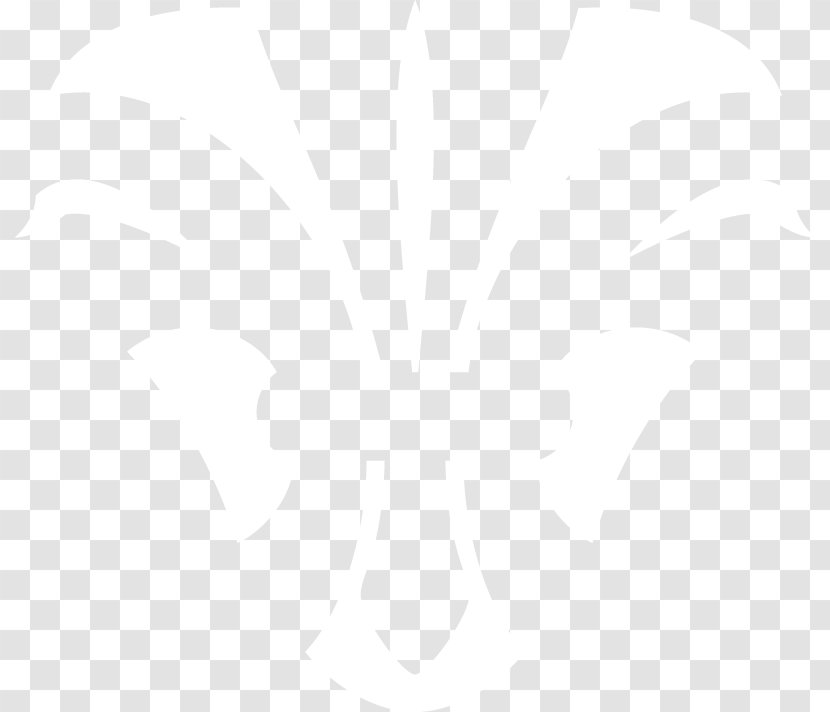 United States Capitol Toronto International Film Festival Logo Gothamist Organization - Ina Dillard Russell - Loading Transparent PNG
