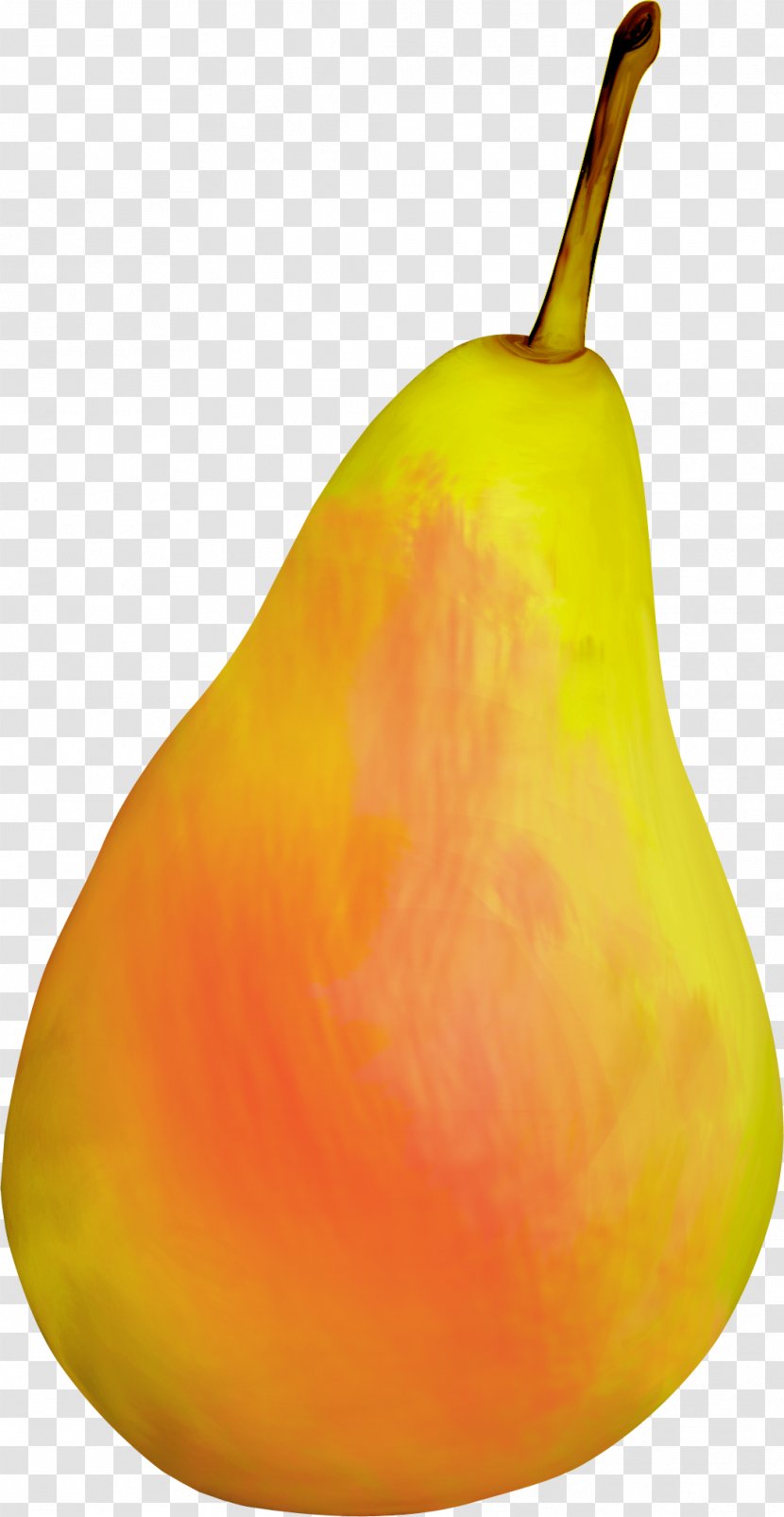Pear Still Life Photography - Fruit - Orange Pears Transparent PNG