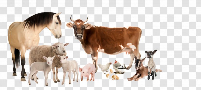 Herd Bovine Goats Cow-goat Family Goat - Goatantelope Wildlife Transparent PNG