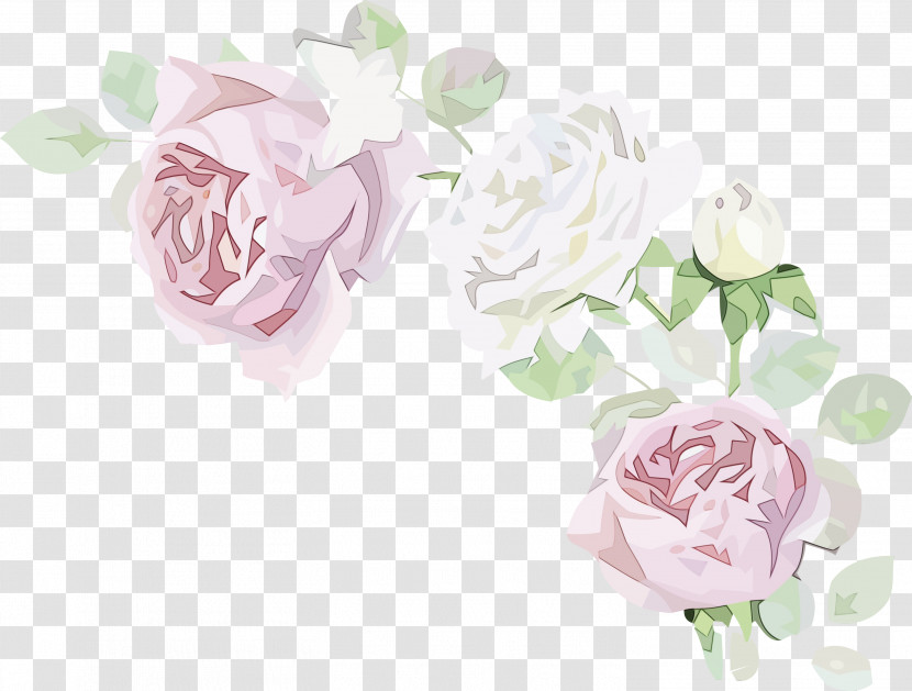 Floral Design Transparent PNG