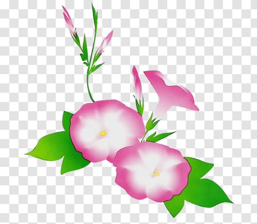 Pink Flowers Background - Petal - Impatiens Bouquet Transparent PNG