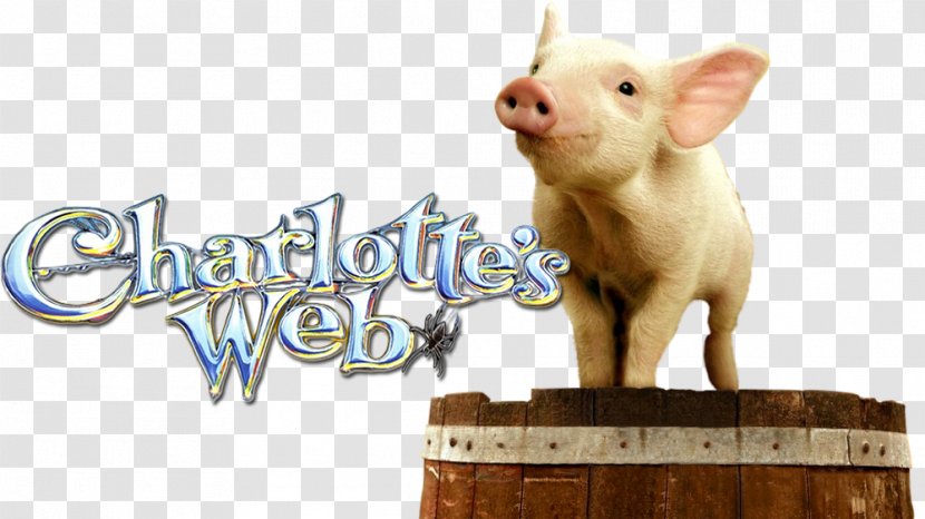 Domestic Pig Charlotte's Web Film - Mammal Transparent PNG