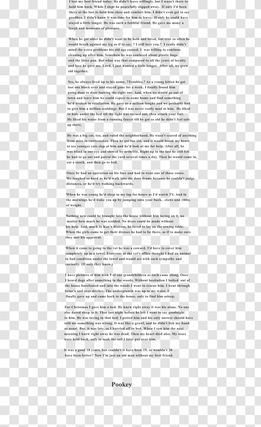 Document Line Angle Essay Title - Comfortable Sleep Transparent PNG