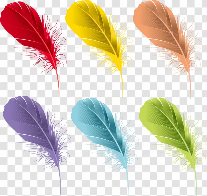 Feather Euclidean Vector Watercolor Painting - Cartoon Beautiful Colorful Feathers Transparent PNG