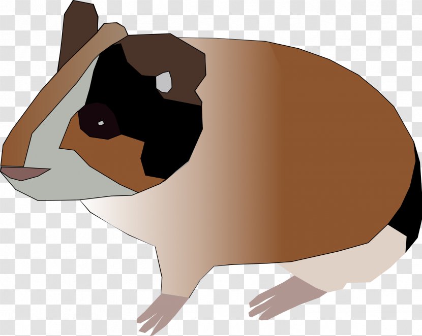 Guinea Pig Rodent Hamster Clip Art - Vertebrate - Small Transparent PNG