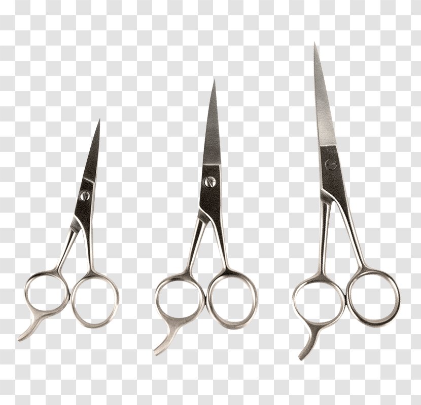 Scissors Beard Capelli Moustache BaByliss SARL - Tool Transparent PNG