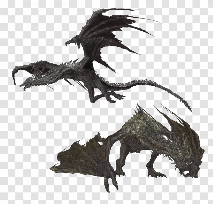 Dragon Wyvern Smaug Dark Souls The Elder Scrolls V: Skyrim - Fictional Character - Dragons Transparent PNG