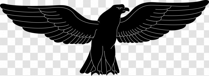Eagle Northern Goshawk Black Sparrowhawk Bird - Monochrome Transparent PNG